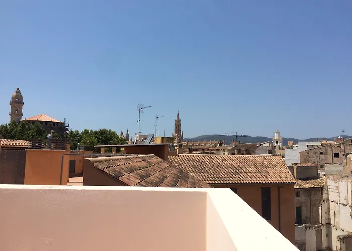 Brick Palma - Turismo De Interior